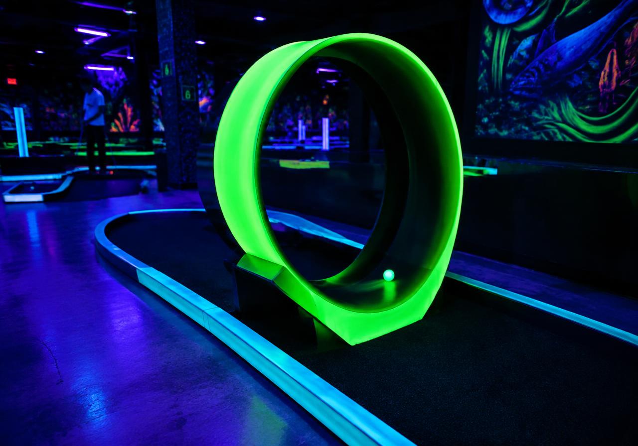 The Cyber Loop